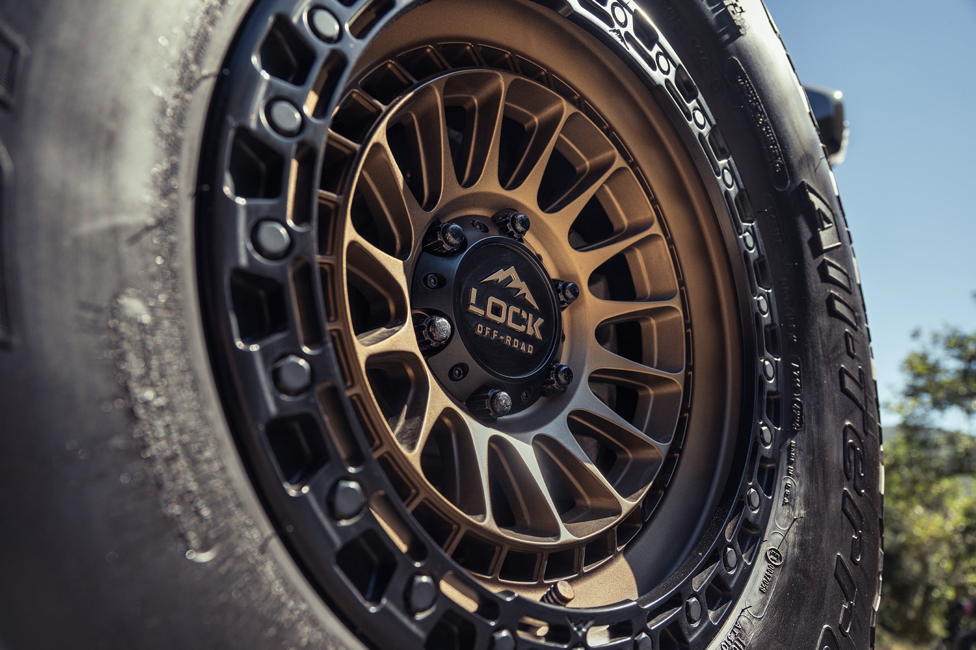 ford-raptor-wheels-lock-grit-bronze-beadlock-detail.jpg